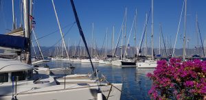 Photo of the yacht flotilla in a marina with blue skies and flowers in the foreground