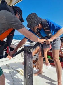 Two sailors work on the grinder in the cockpit to trim the sails on Steinlager 2.