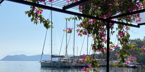 flotilla of yachts in a Mediterranean harbour viewed through a pagoda of trailing pink bougainvillea